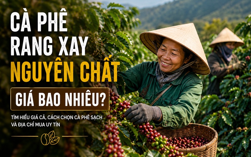 cà phê rang xay nguyên chất giá bao nhiêu