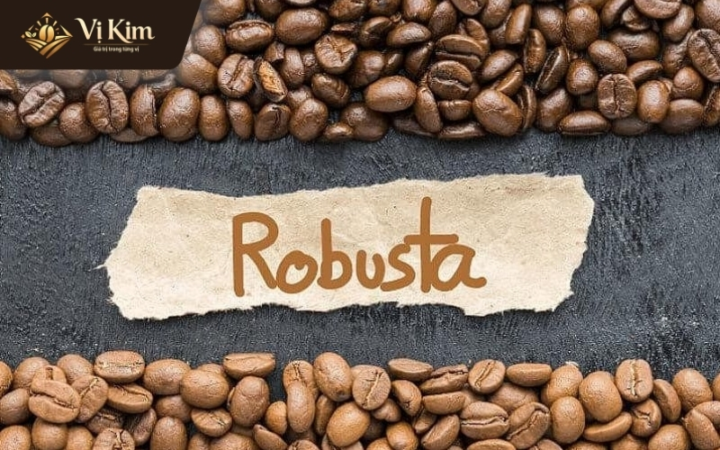 cà phê robusta