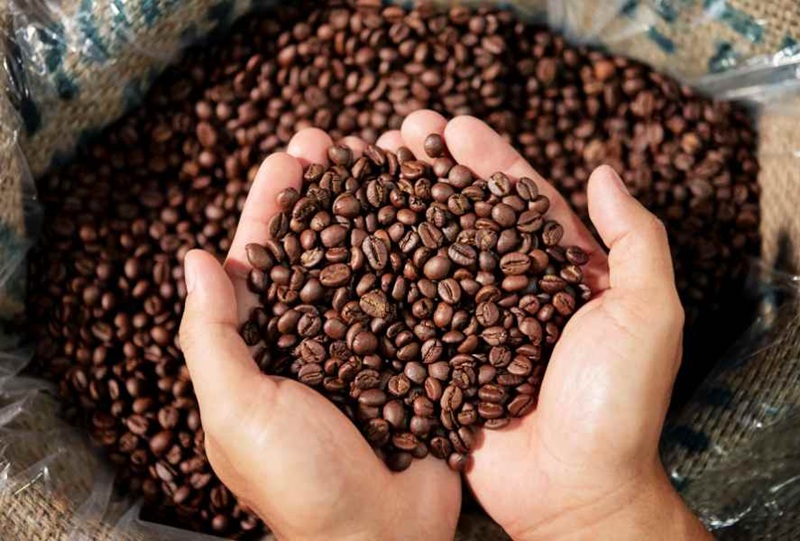 cấp độ rang ảnh hưởng đến caffein không