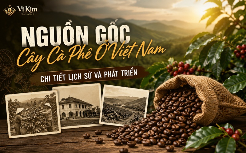 nguồn gốc lịch sử của cà phê