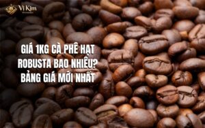 giá 1kg cà phê hạt robusta